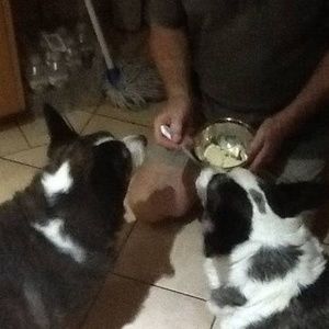 Meet your Posher, Rae